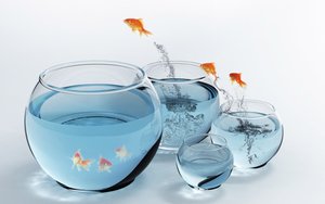 家常菜排行：素食主义者的家常菜精选